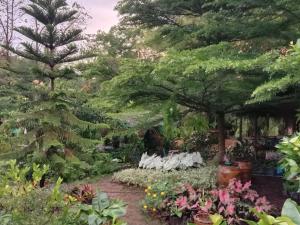 um jardim com árvores e flores num caminho em Banrai Tator Phophiang em Ban Nong Khan