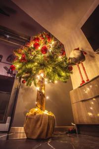 Un árbol de Navidad expuesto en una habitación. en Apartament LUX Ustroń, en Ustroń
