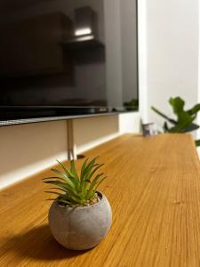 TV a/nebo společenská místnost v ubytování Kod Dide - entry with pin 0-24h