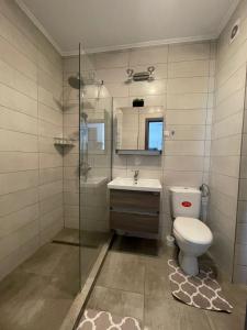 Un baño con inodoro, lavabo y ducha. en Apartament Melanie, en Oradea 3 fotos más