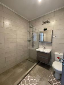een badkamer met een douche, een wastafel en een toilet bij Apartament Melanie in Oradea