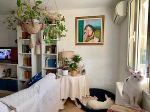 una sala de estar con una mesa y un gato blanco en Ginko, en Castrocaro Terme