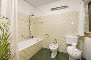 a bathroom with a toilet and a bath tub at Casa Mima Chalets in Gerra Verzasca