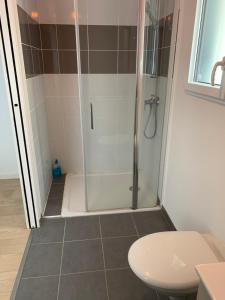 a bathroom with a shower and a toilet at Maison Jardin De La Baie in Douarnenez +20 photos