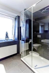 un bagno con doccia in vetro e WC di Presidental Suite Apartment by Livingdowntown a Zurigo Altre 16 foto