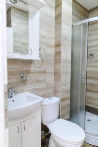 Un baño con inodoro, lavabo y ducha. en Apartman Ivanka, en Soko Banja