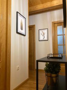 un couloir avec une table et une plante sur un mur dans l'établissement Apartamento A10 de Formigal, 9 personas, amplio y garaje, à Escarrilla