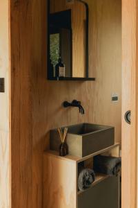 a bathroom with a sink and a mirror at Tawny in Kelsall