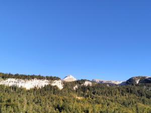 uma montanha com árvores e um céu azul em Appartement Corrençon-en-Vercors, 3 pièces, 8 personnes - FR-1-761-3 em Corrençon-en-Vercors