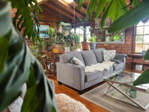 a living room with a couch and some plants at Sea view holiday plant house , close to CBD and Beach in Kingston Beach