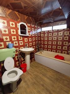 a bathroom with a toilet and a sink and a tub at Hb nancy group of houseboats in Srinagar