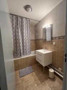 La salle de bains est pourvue d'un lavabo et d'un rideau de douche. dans l'établissement Charmant T2 + parking et balcon, à Strasbourg