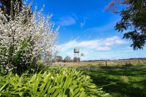 a field with white flowers and a water tower at Hideaway Homestead in Nagambie