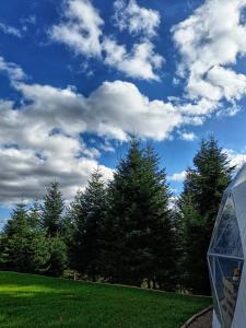 Vonkajšia záhrada v ubytovaní Silence Glamp - Glamping Bieszczady