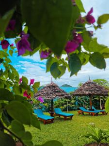 un grupo de sillas y sombrillas en el césped en Pineapple House en Nungwi