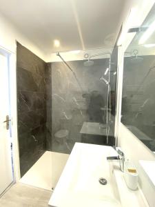 La salle de bains est pourvue d'un lavabo et d'une douche. dans l'établissement Appartement BIENVENUE au calme quartier Venoix, à Caen