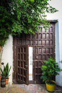 una puerta de madera abierta con plantas frente a un edificio en Casa del siglo XVII, en Sevilla