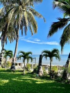 a group of palm trees on the beach at Baan Napapan Beach Front, Hua Hin in Hua Hin