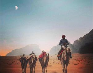 a group of men riding camels in the desert at Wadi rum camp in Wadi Rum