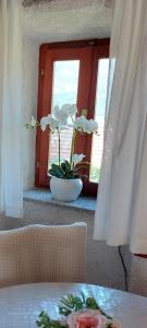 a table with a vase with flowers in a window at Holiday Home Kamenice in Gruda