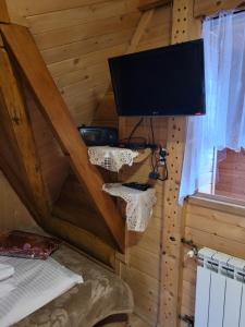 ザコパネにあるWynajem Pokoi Krystyna Mrózのキャビン内のベッド1台とテレビ付きの部屋