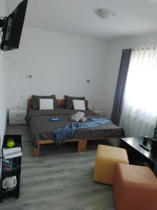 a bedroom with a bed and a tv and a couch at Sobe Sky in Fužine