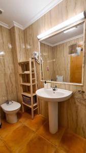 uma casa de banho com um lavatório, um WC e um espelho. em Apartamento Cobre em Riópar