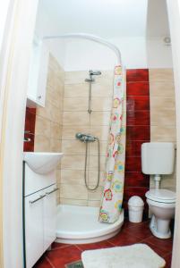 a bathroom with a shower and a toilet at Holiday home Nona in Motovun