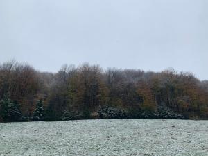 Ảnh trong thư viện ảnh của Apartman Dujmović ở Visoko