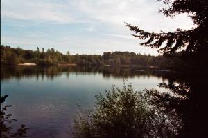 vistas a un lago con árboles en el fondo en Sonnige Etagenwohnung im Waldgebiet, en Schortens
