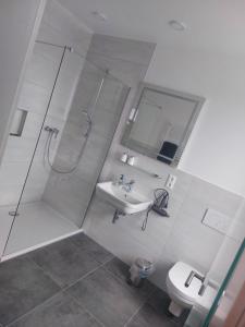ゲルストホーフェンにあるHotel Sternのバスルーム(シャワー、洗面台、トイレ付)