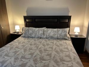 a bedroom with a bed with two lamps on both sides at Condominio Costa Pucon in Pucón +35 photos