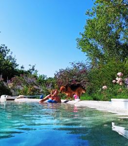 a woman and a dog standing next to a swimming pool at Villa Tilly in Trarivi