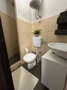 a bathroom with a toilet and a sink at Elena Rooms Split in Split