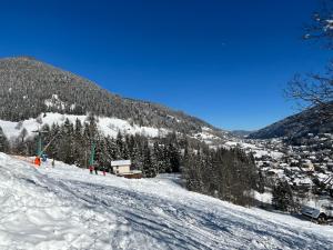 a snow covered ski slope with trees and a mountain at Feichterhof in Bad Kleinkirchheim