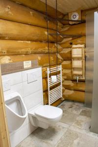 a bathroom with a toilet and a urinal and a sink at Blockhaus Almhütte Hofblick in Glatten