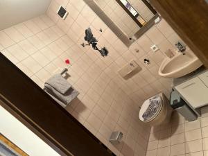 an overhead view of a bathroom with a toilet and sink at Birke 9, 10 oder 11 in Todtmoos