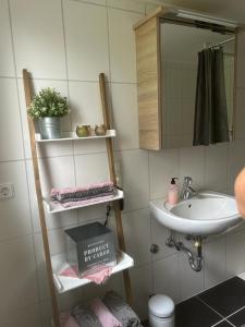 bagno con lavandino e mensola con un libro di Ferienwohnung An der Loipe a Lichtenstein