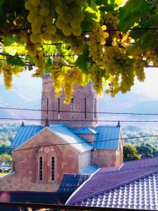 a church with a tower with yellow flowers at garden and panorama in Mtskheta