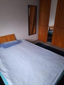 Un pat sau paturi într-o cameră la Fewo Wellnesspalast