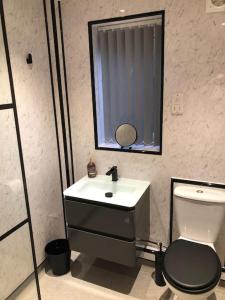 a bathroom with a sink and a toilet and a mirror at Entire 2 bed modern apartment in Nantwich
