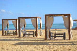 a group of chairs under a canopy on the beach at True Beach Resort in Marsa Alam City