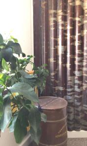eine Pflanze neben einem Fass neben einem Fenster in der Unterkunft Steel Hotel in Smedjebacken