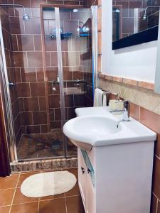 a bathroom with a sink and a shower at La Casita del Cactus - Casa de campo con piscina in Alcalá de Guadaira