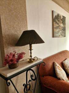 聖米格爾德圖庫曼的住宿－Tintes de Otoño，沙发旁桌子上的一盏灯