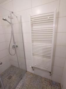 a shower with a glass door in a bathroom at Balingen Apartment in Balingen