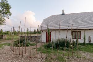 Aed väljaspool majutusasutust Pilguse Residency