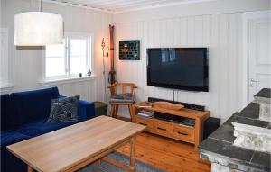 ein Wohnzimmer mit einem blauen Sofa und einem Flachbild-TV in der Unterkunft Awesome Home In Eggedal With House A Mountain View in Eggedal