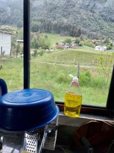 a view of a field from a window with a bottle at Cabaña lancuyen in Futrono