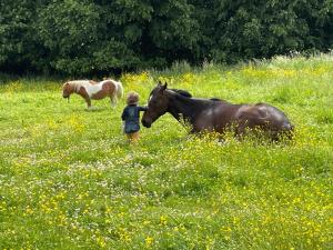 un niño pequeño parado en un campo con un caballo en Gîte du Château d'Esnes 